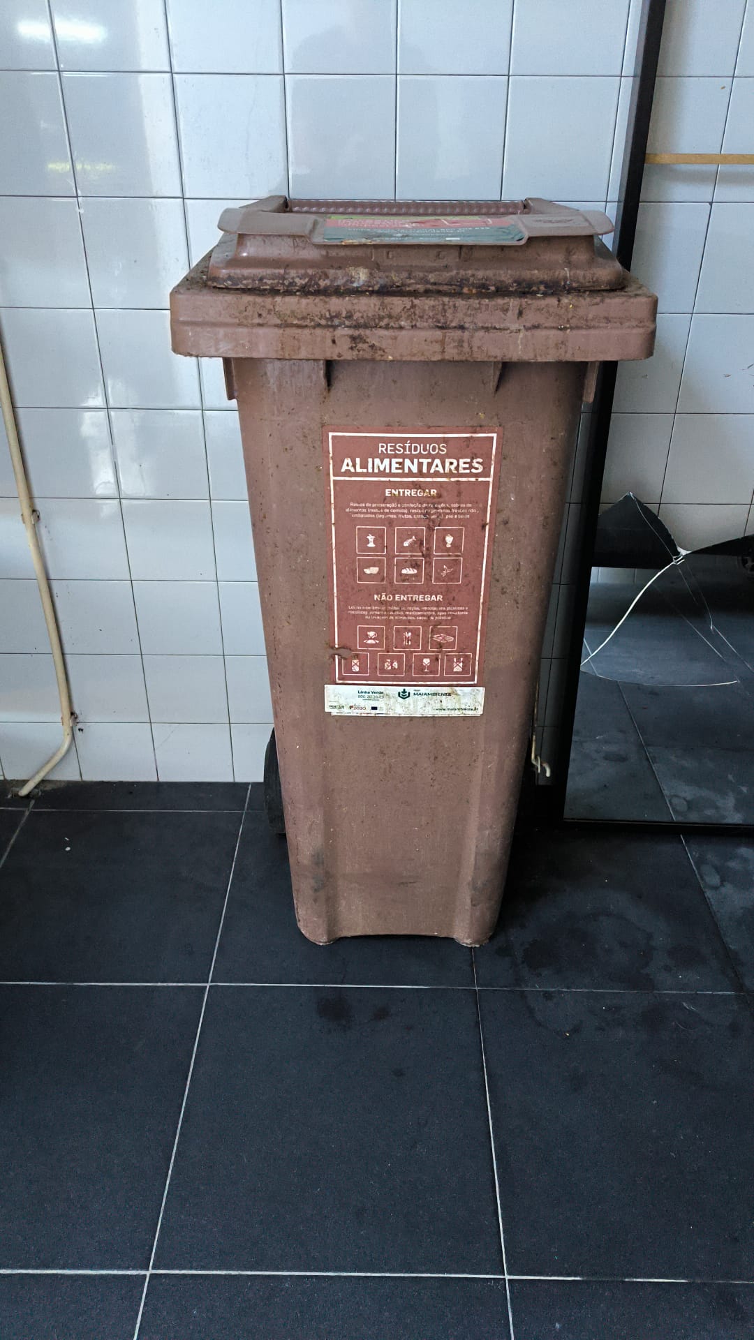 Contentor de resíduos alimentares sujo, antes da lavagem