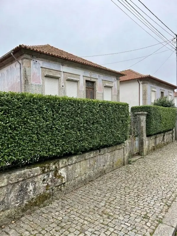 Sebe aparada, depois